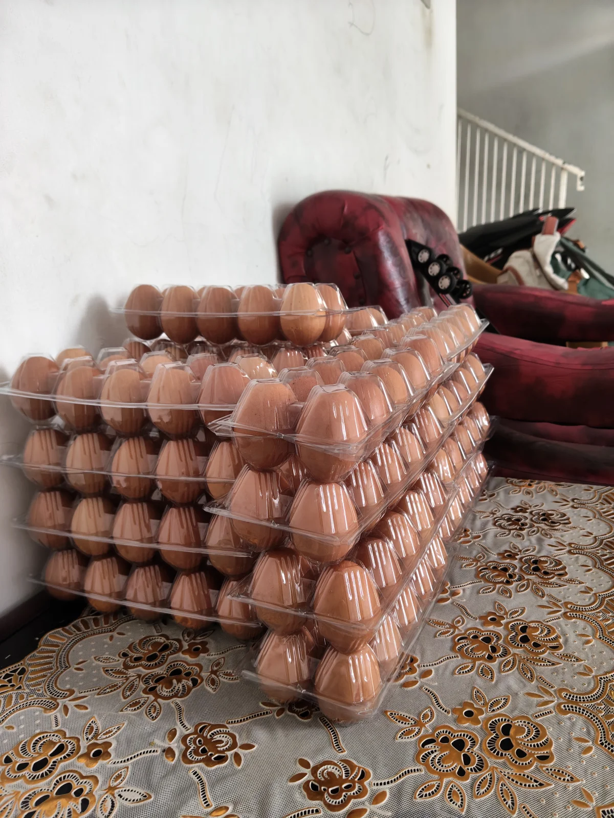 Telur omega